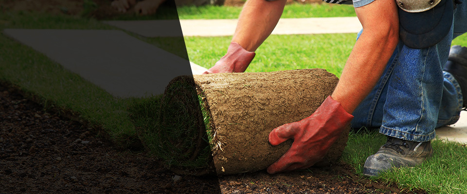 Jonesborough Landscapers